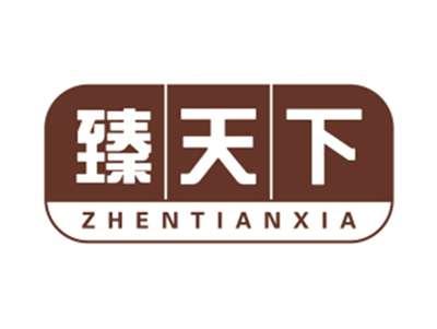 臻天下