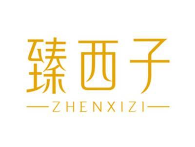 臻西子