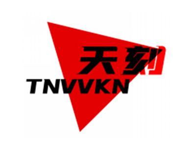 天刻