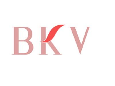 BKV