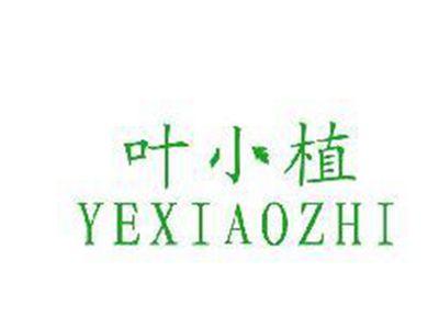 叶小植