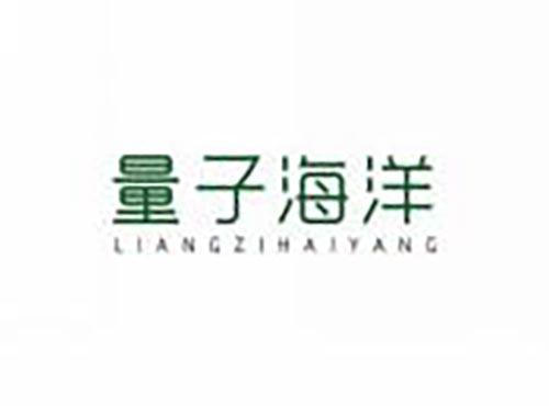 量子海洋