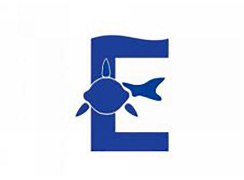 E字母