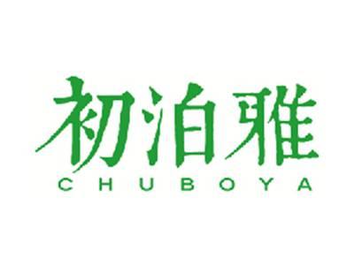 初泊雅