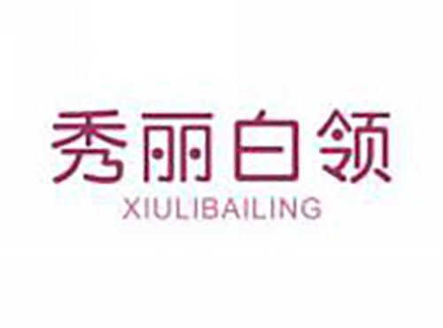 秀丽白领