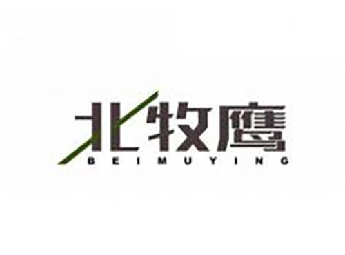 北牧鹰