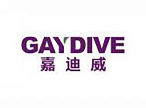 嘉迪威 GAYDIVE