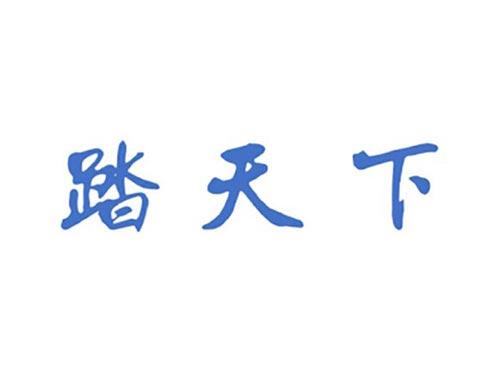 踏天下
