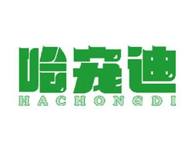 哈宠迪