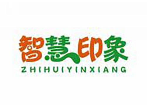 智慧印象