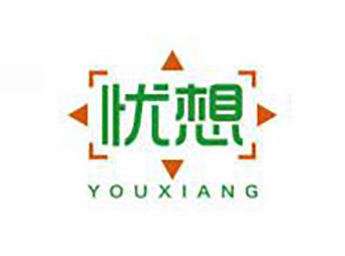 忧想