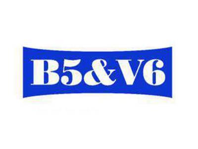 B5&V6