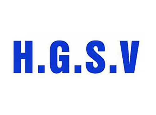 HGSV