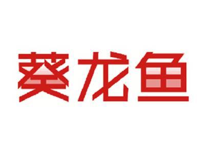 葵龙鱼