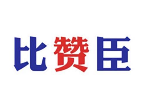 比赞臣