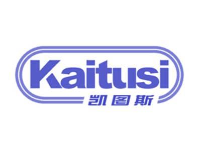 凯图斯