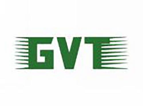 GVT