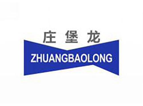 庄堡龙