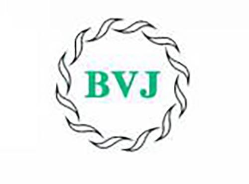 BVJ