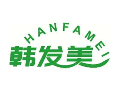 韩发美