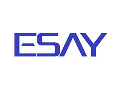 ESAY