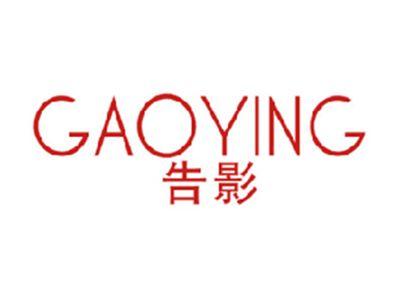 告影