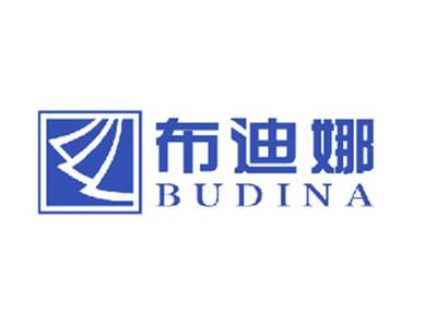 布迪娜