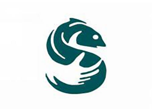 S字母