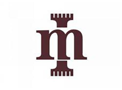 M字母