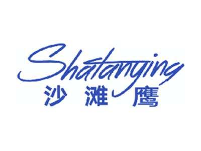 沙滩鹰