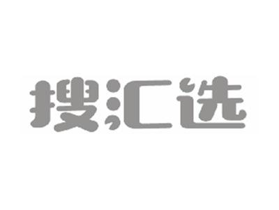 搜汇选