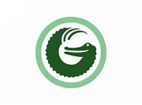 G字母