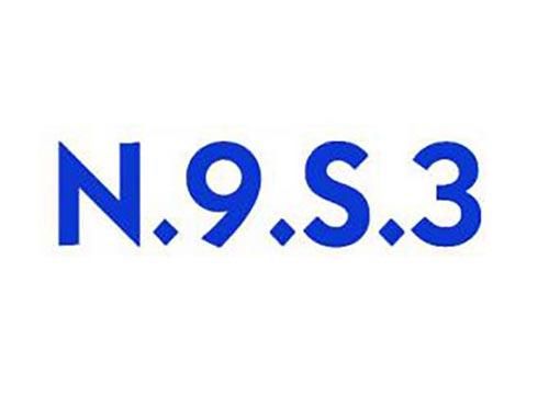 N9S3