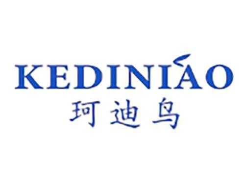 珂迪鸟