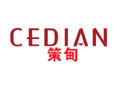 策甸