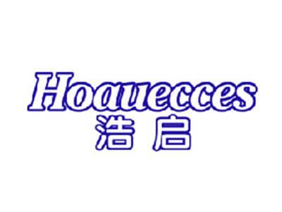 浩启HOAUECCES