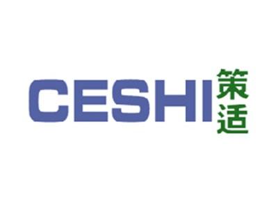 策适