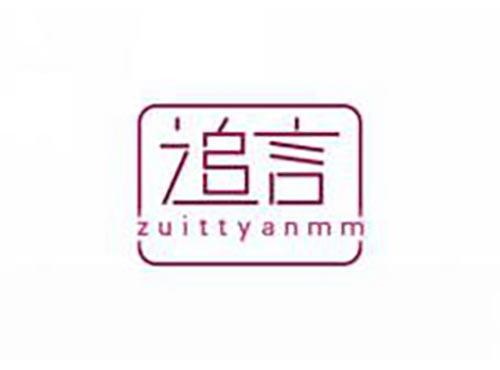 追言