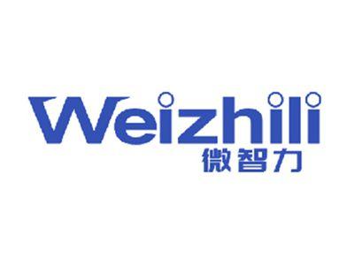微智力