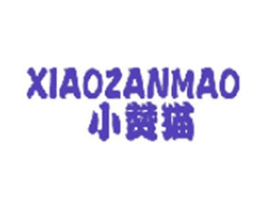小赞猫