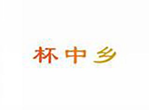 杯中乡