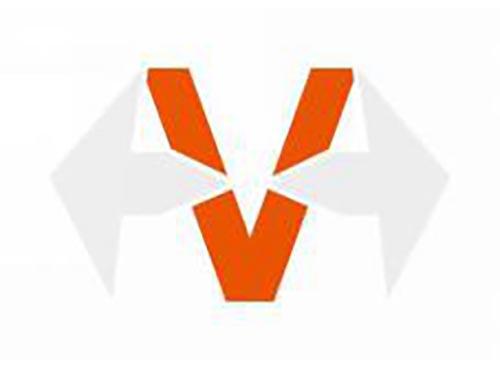 V字母