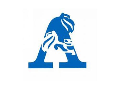 A字母