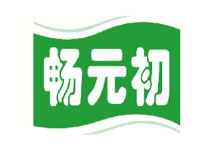 畅元初