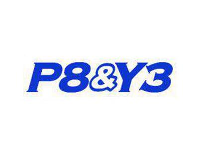 P8&Y3