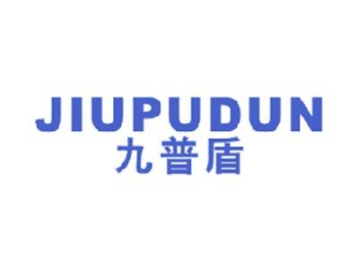 九普盾