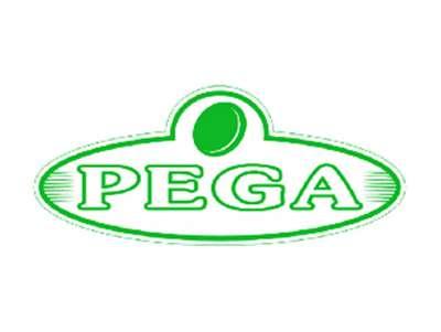 PEGA
