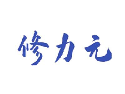 修力元