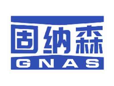 固纳森GNAS