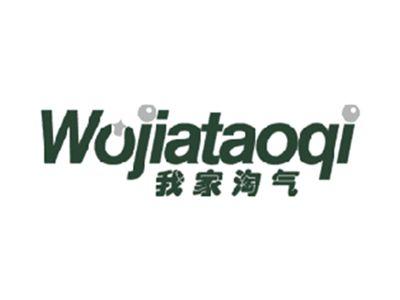 我家淘气